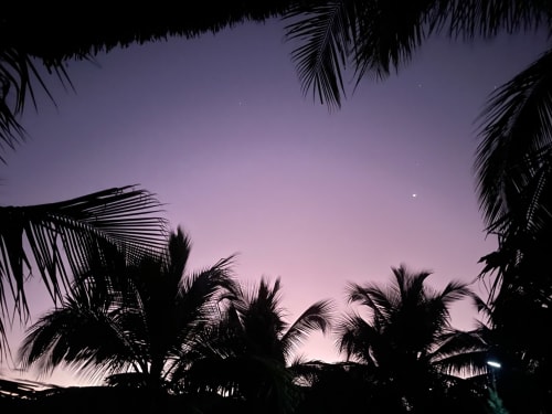 Silhouettes de palmiers au crépuscule sous un ciel mauve, villa balnéaire du lodge Madabay, Nosy Be