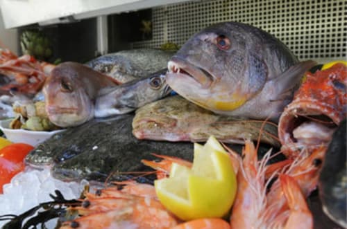 Fresh seafood display at Cannes restaurant featuring fish, shrimp, and lemon garnish