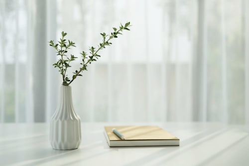 Bureau minimaliste blanc avec branche botanique verte en vase et carnet ouvert à l'Hôtel le Tilleul, Corps