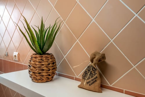Planta de aloé em vaso e decoração de juta em prateleira contra azulejos geométricos em apartamento Atlantic Places, Albufeira