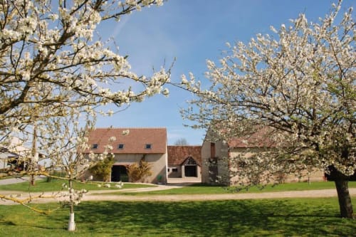 Les gîtes de Cormenin B&B à Saint-Hilaire-sur-Puiseaux avec arbres printaniers en fleurs et bâtiments en pierre rustique