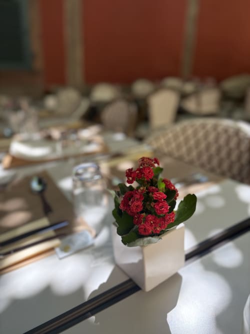 Fleurs rouges dans un pot blanc sur la table à manger de l'Hôtel l'Ange, Niedermorschwihr