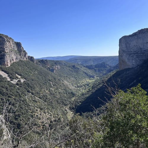 Vallée rocheuse avec végétation luxuriante près de l'Hôtel Du Rocher au Caylar, France