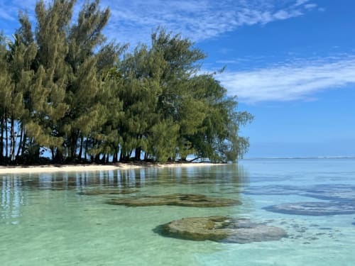 Lagon turquoise aux rochers de corail du bungalow en bord de mer Fare Tihi Moana à Raiatea, Polynésie française