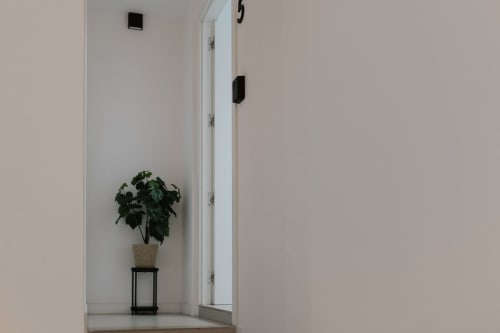 Pasillo moderno del hotel Stay Gest Valencia con puerta blanca, planta verde en maceta sobre soporte negro y decoración minimalista