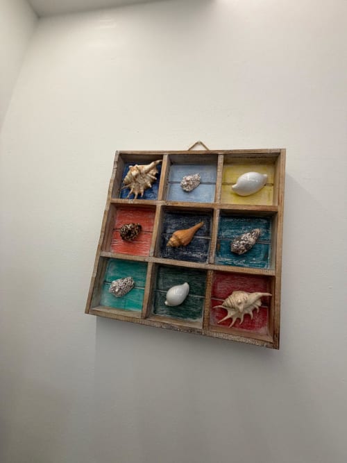 Scatola da parete in legno con nove scomparti che espone conchiglie e pietre decorative su sfondi colorati