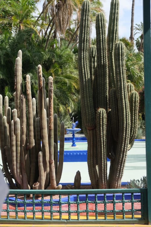 Tall cacti framing blue fountain at Riad 191 Marrakech, with colorful riad door visible