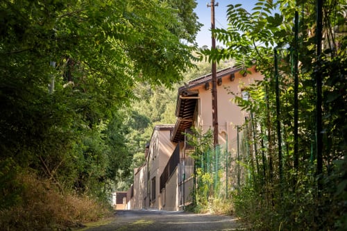 Viale alberato che conduce a Dimora Silva Nature Suites, elegante struttura in terracotta immersa a San Martino delle Scale
