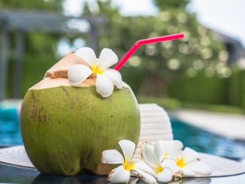 Cocktail tropical à la noix de coco avec fleurs de frangipanier blanc et paille rose au bord de la piscine du Fare Tihi Moana, Raiatea