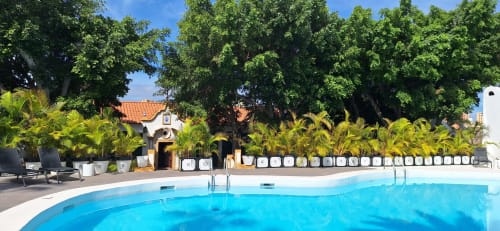 Piscina curva con tumbonas y palmeras en el Hotel Cortijo San Ignacio de Telde