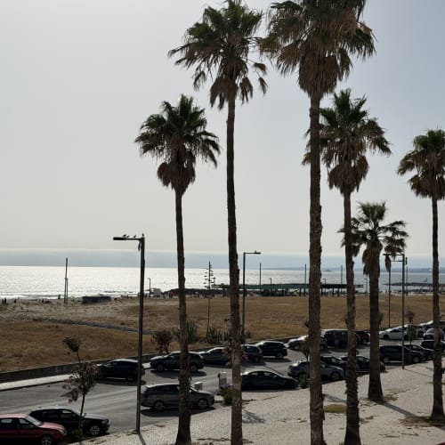 Área de estacionamento à beira-mar com palmeiras com vista para o oceano em República do Sul, Aroeira, Portugal