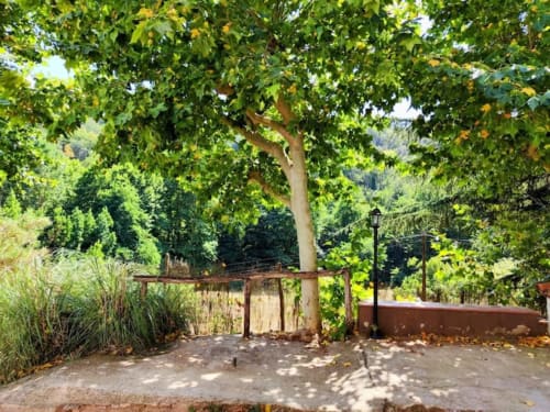 Rústica puerta de jardín bajo árbol centenario en L'Amagatall de Cal Tonedor, casita de Vallgorguina con exuberante vegetación y montaña