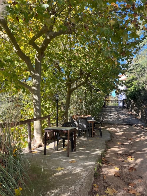 Zona de comedor al aire libre sombreada bajo árboles frondosos en la casa rural L'Amagatall de Cal Tonedor, Vallgorguina Barcelona