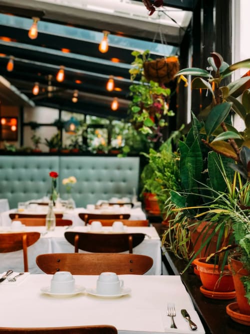 Élégante salle à manger de jardin à Tranquillité B&B en Sologne avec plantes, chaises en bois et guirlandes lumineuses
