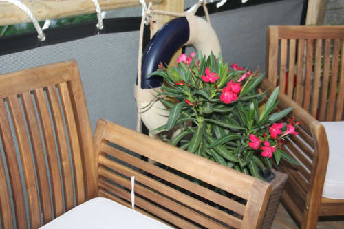 Mobilier de jardin en bois avec plante en fleurs roses sur la terrasse du studio Ô de Mer, hôtel de la plage de Sangatte