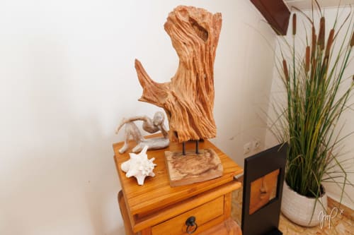 Sculptures en bois sculpté et objets décoratifs sur une étagère dans l'appartement caribéen Otantik, Saint-Louis
