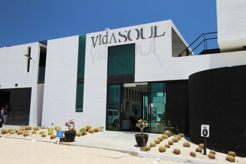Fachada de la propiedad frente al mar Vidasoul en La Vinorama, México con arquitectura blanca moderna y paisajismo desértico