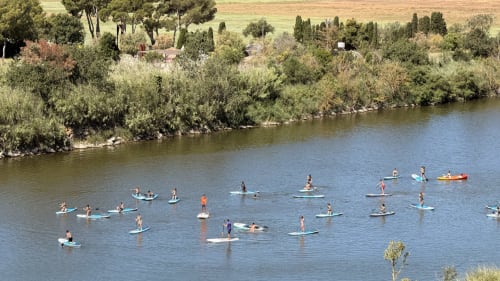 Varios practicantes de paddle surfing en el río Empuriabrava, bordeado de sauces y paisaje rural