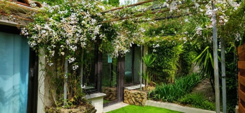 Privétuin cottage bij Maison D'hôtes Coeur D'hérault in Péret met witte bloeiende wijnranken, verzorgd gazon en weelderig groen