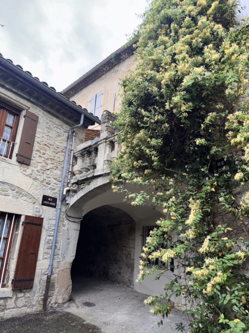 Entrée en pierre voûtée du gîte Entre Ciels et Lettres à Grignan, recouverte de vignes aux fleurs jaunes