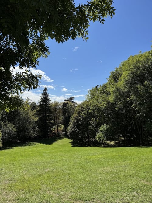 Césped exuberante rodeado de árboles maduros en Domaine de Bize Mirepoix, una finca rural francesa en Ariège