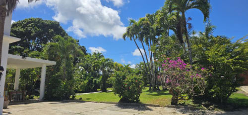 Jardin tropical de l'Habitation Villa Les Cassias en Guadeloupe avec palmiers, bougainvillées en fleurs et bungalow moderne