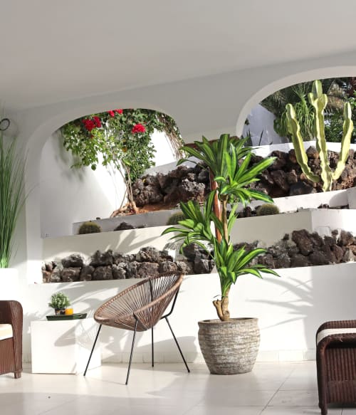 Terraza luminosa del Hotel Cortijo San Ignacio con plantas colgantes, cactus y silla tejida en Telde