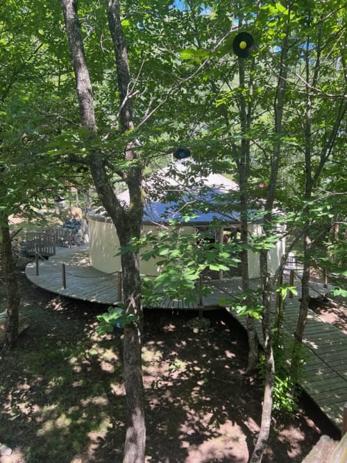 Wooden deck and pathways through lush trees at Les Murmures du Bois garden, Sousceyrac-en-Quercy