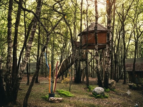 Treehouse accommodation nestled in birch forest at Les Murmures du Bois, France, with wooden structure and forest canopy