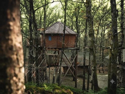 Treehouse accommodation nestled in forest at Les Murmures du Bois, France - Nuit céleste room with garden view