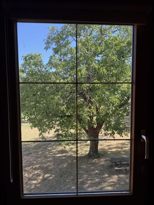 Garden view through cottage window at Domaine les Bertrands, Couches, France with mature tree and field