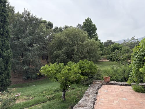 Exuberante terraza ajardinada con olivos y árboles frutales en El Escondite De Pedro Malillo, Candeleda