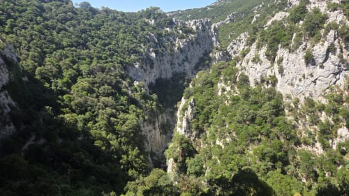 Gorge calcaire profonde avec forêt verte luxuriante près de l'hôtel Mas le Châtelet à Saint-Paul-de-Fenouillet