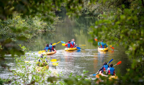 Kayaking group on calm river through lush greenery near La Roche Guyon, France