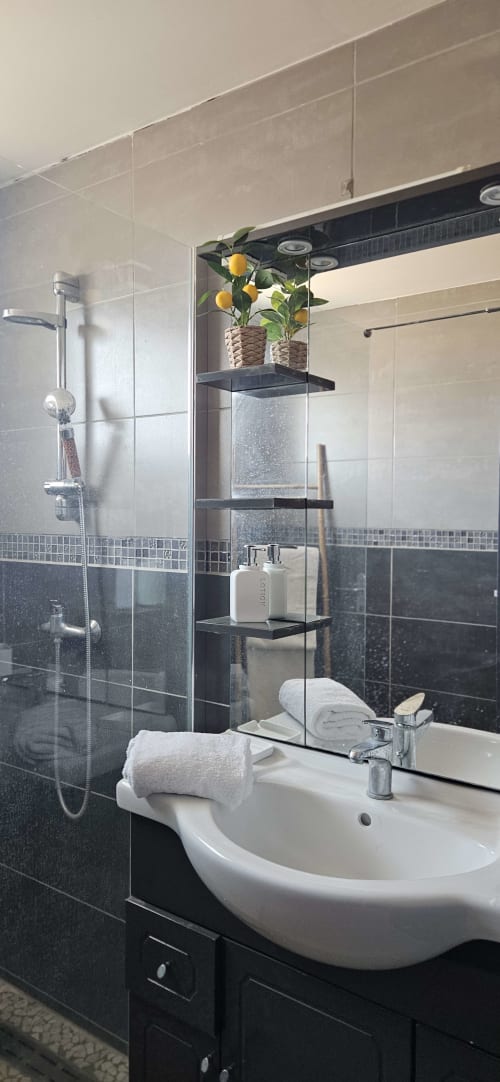 Salle de bain moderne chez Mi Casa Es Su Casa avec carrelage noir, lavabo blanc, douche vitrée et citronnier en pot