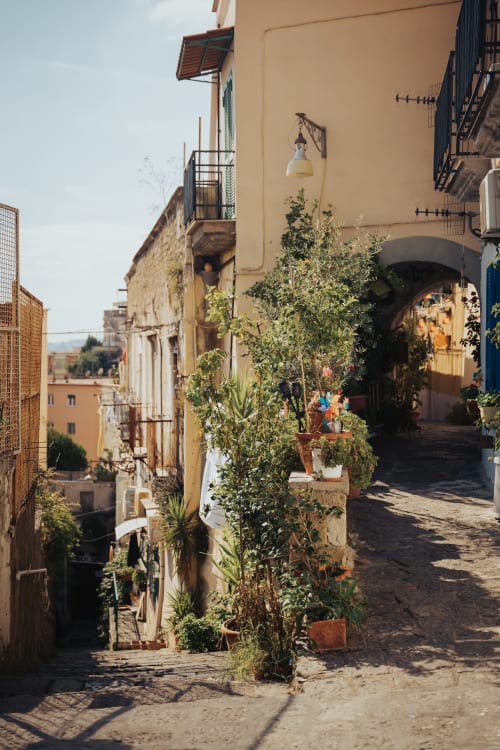 Affascinante vicolo lastricato presso l'Onde Del Mare B&B a Napoli con piante in vaso e edifici storici
