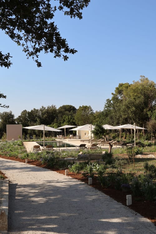 Area piscina del Quercia Private Nature Retreat con ombrelloni bianchi, lettini e giardini mediterranei a Maglie, Italia