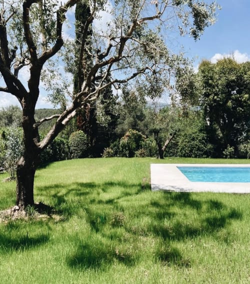 Villa à Grasse avec jardin luxuriant, ancien olivier et piscine privée dominant les montagnes