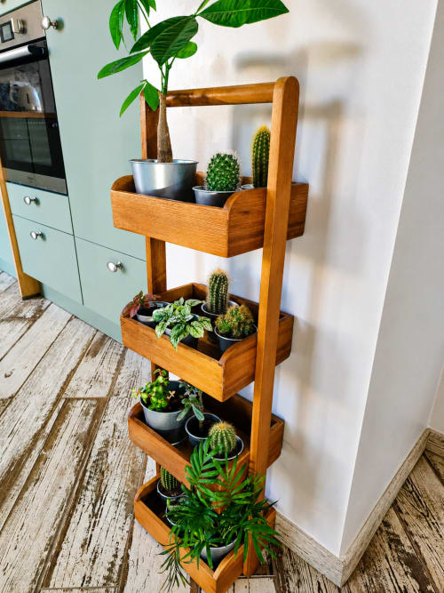 Étagère en bois pour plantes avec cactées et plantes grasses dans la véranda du jardin à Ô de Mer, Sangatte