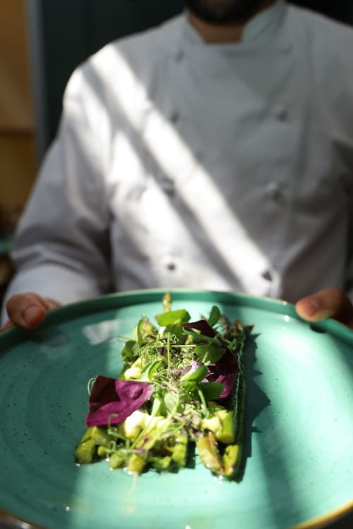 Chef at Domaine De Bafave presenting an elegant plated dish with greens and purple vegetables on a turquoise plate