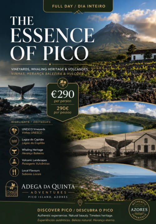 The Essence of Pico full-day tour poster by Adega da Quinta featuring vineyards, whale watching, and volcanic landscapes in