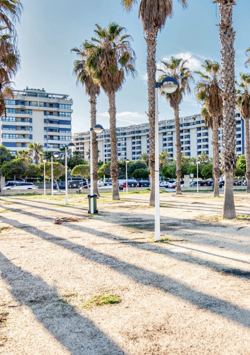 Paseo frente al mar con palmeras cerca del apartamento Pataconablue en Valencia con modernos edificios azules