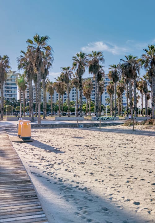 Playa de Valencia con palmeras, paseo de madera, papelera naranja y edificios modernos. Frente de playa Pataconablue