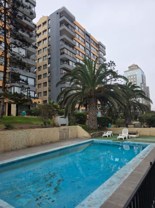 Piscina de Your Place Spa en Antofagasta con palmeras, edificios residenciales y tumbonas con vistas al mar.