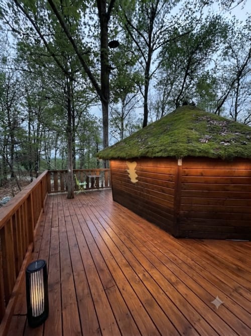 Wooden deck with moss-covered roof structure surrounded by forest trees at Les Murmures du Bois, France