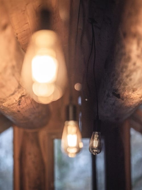 Warm vintage string lights glowing in Les Murmures du Bois garden, creating cozy ambiance for the Chalet des Bois apartment