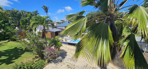 Jardin tropical avec palmiers et plantes fleuries surplombant la piscine de l'Habitation Villa Les Cassias, Petit Bourg