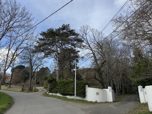 Allée bordée d'arbres avec bâtiments blancs au Domaine de Bize, refuge rural à Mirepoix, Ariège