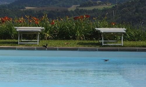 Due comode sdraio bianche a bordo piscina presso Lodole Country House, Monzuno, circondate da fiori rossi e dal panorama toscano