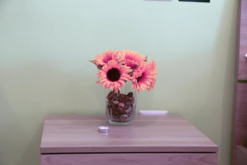 Gerbere rosa in vaso di vetro su tavolo di legno presso The Flower Garden bed and breakfast a Castellammare di Stabia